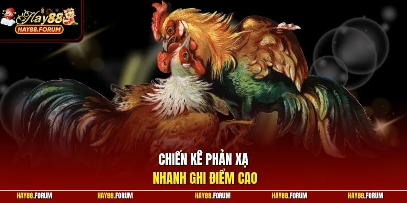 Chiến kê phản xạ nhanh ghi điểm cao