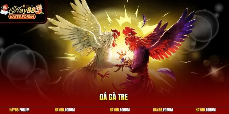 Đá Gà Tre Mang Đến Trải Nghiệm Trận Đấu Kịch Tính Và Hấp Dẫn