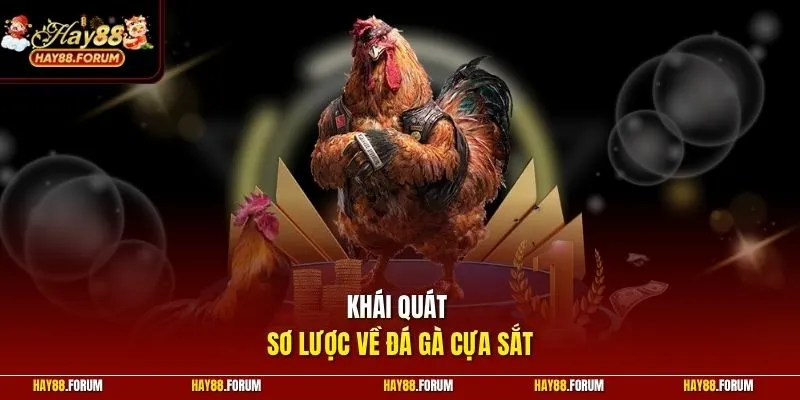 Khái quát sơ lược về đá gà cựa sắt 