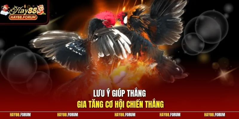 Lưu ý giúp thắng gia tăng cơ hội chiến thắng