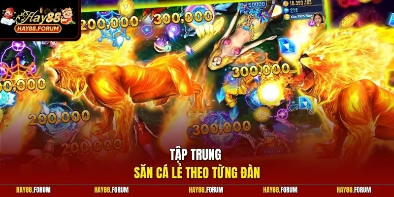 Tập trung săn cá lẻ theo từng đàn