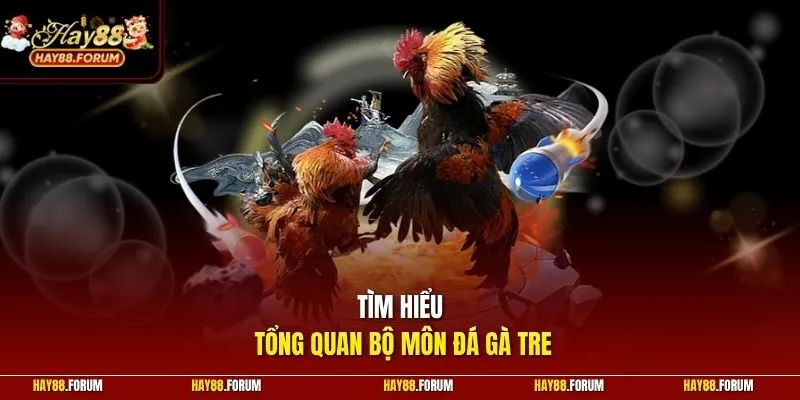 Tìm hiểu tổng quan bộ môn đá gà tre